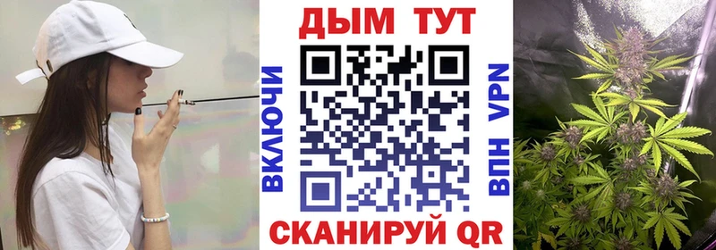 Купить где Змеиногорск Бошки Шишки LSD WEED